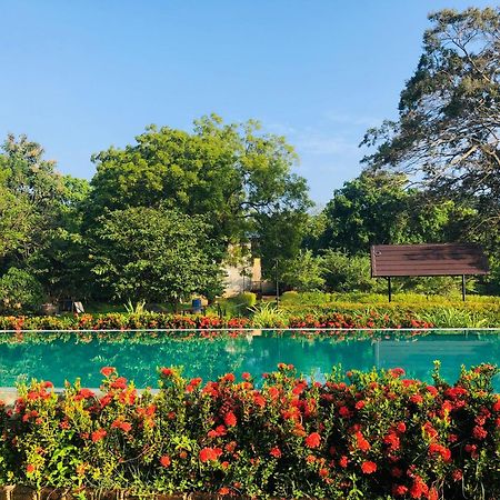 Lolu Village Resort Anuradhapura Zewnętrze zdjęcie