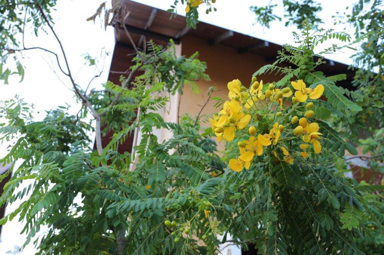 Lolu Village Resort Anuradhapura Zewnętrze zdjęcie